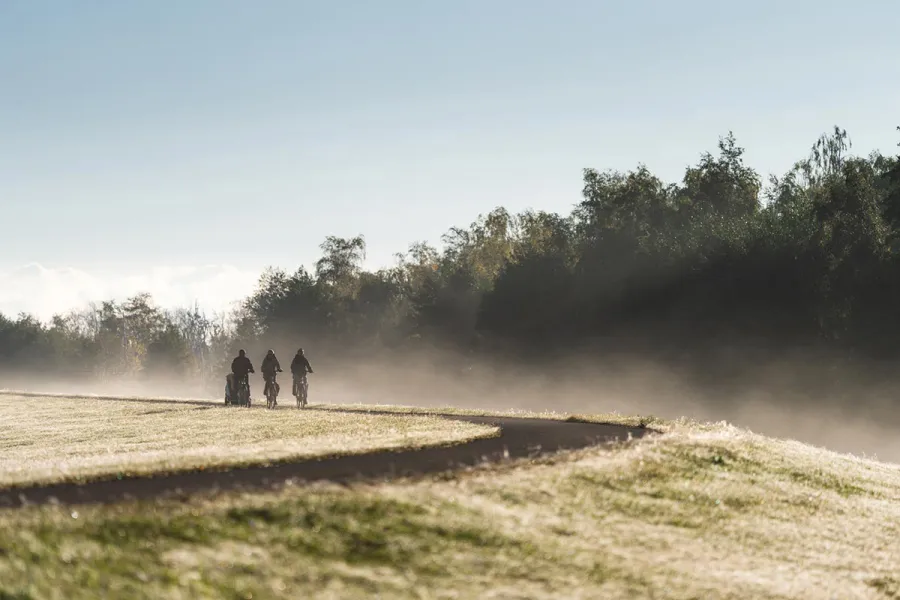Drei Radfahrer im Morgennebel auf einem Weg am Darßwald beim Frühlingsurlaub auf dem Fischland-Darß.