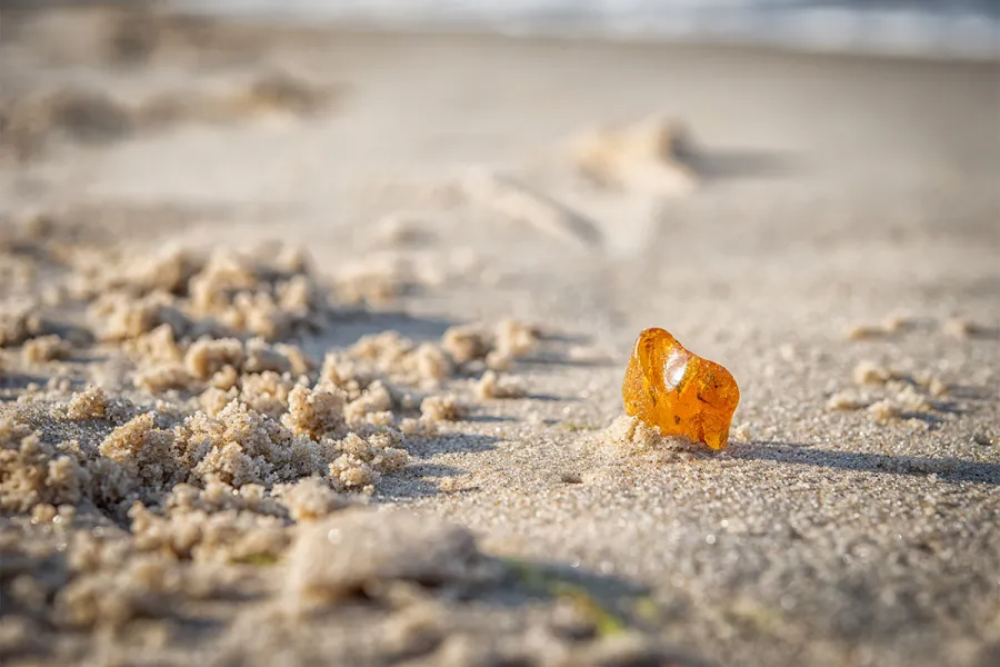 Bernstein finden an der Ostsee