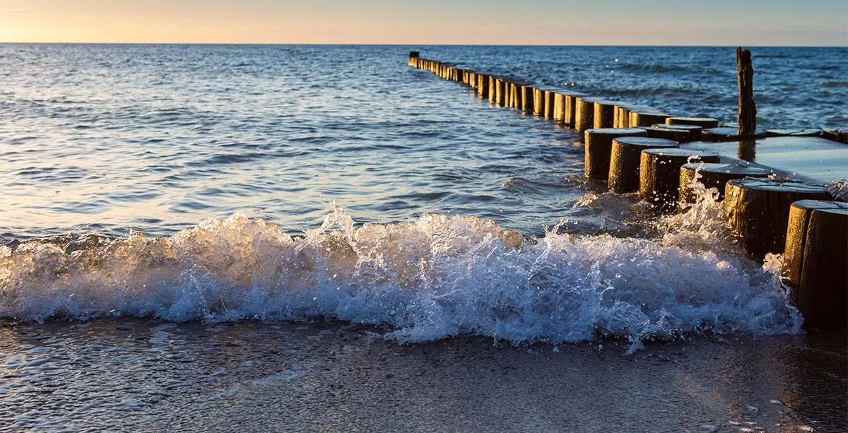 Brechende Welle an einer Buhnenreihe am Ostseestrand auf dem Fischland-Darß im warmen Abendlicht.